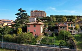 Hazelnut Valley